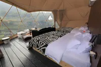 Half Day Away City Ancient Tree Mine Camping Hotel