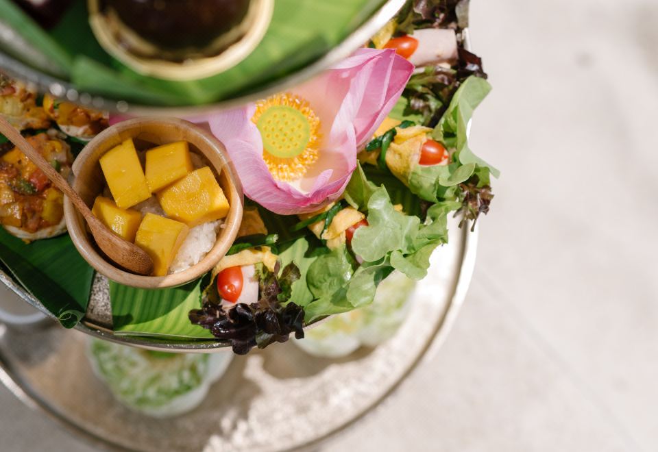 3. 사메드 트로피컬..