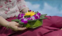 Anantara Xishuangbanna Resort - palestra