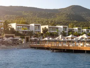 Popular Premium Hotels in Torba