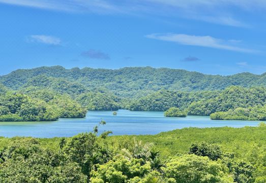 팔라우 센트럴 호텔 외관