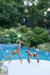 Hangzhou Yazhuang Homestay（West Lake Scenic Area Store） - Rooftop Pools