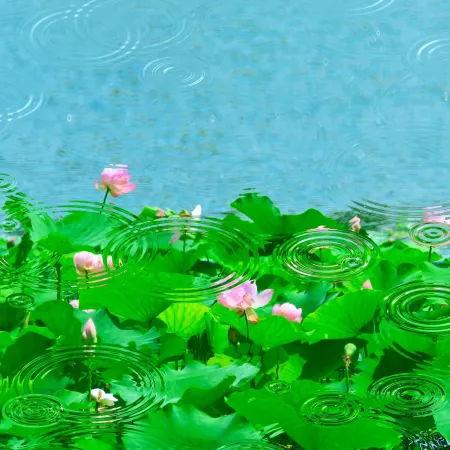 Lis Future Hotel (Zhengwuqu Swan Lake Wanda)