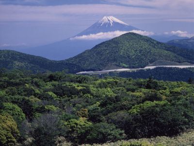 ホテルからの眺望 白壁荘の写真