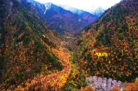 Mountainside Reverie - Dağ Manzaralı