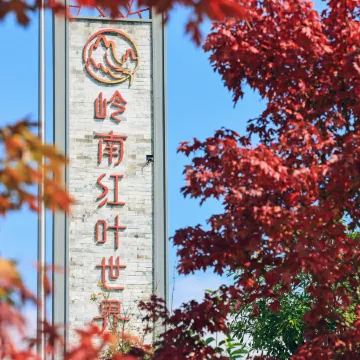 Xinfeng Lingnan maple leaves World