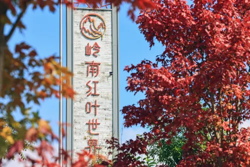 Xinfeng Lingnan maple leaves World