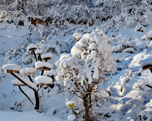 Floral Hotel · Qixi Hotel (Xuegu Scenic Area Branch) Экстерьер Photos