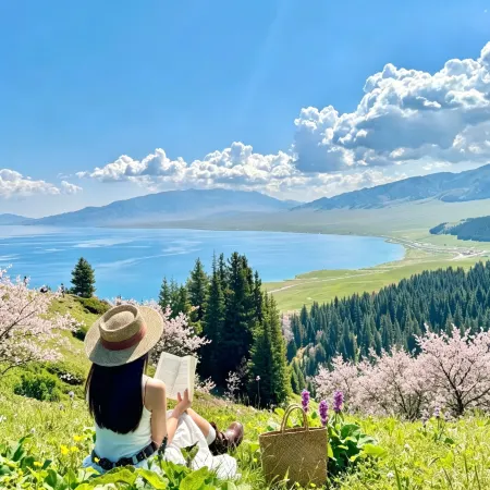 Sayram Lake Xinmin Muyun Mountain Residence Hotel