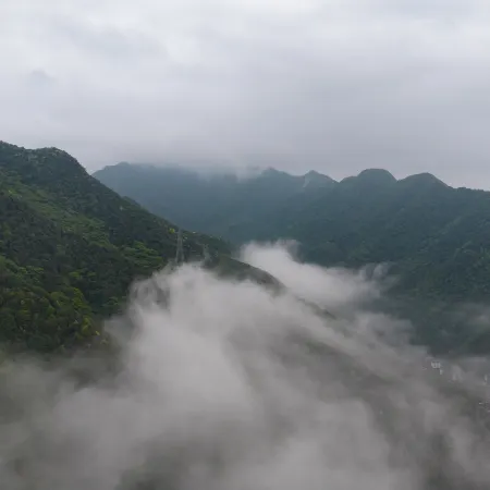 Floral Hotel · Hongkeng Slow Retreat | Forest Stream Mountain Healing Villa (Oedo Hot Spring Branch)