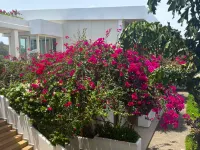 The Lead Hotel Hotels in Freetown