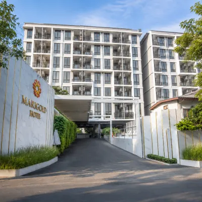 Marigold Sukhumvit Hotel dekat Stasiun BTS - Bearing
