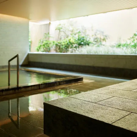 Mitsui Garden Hotel Kashiwa-No-Ha / Chiba