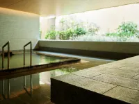 Mitsui Garden Hotel Kashiwa-No-Ha / Chiba - Suối nước nóng