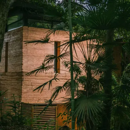 Acorn Tree Homestay