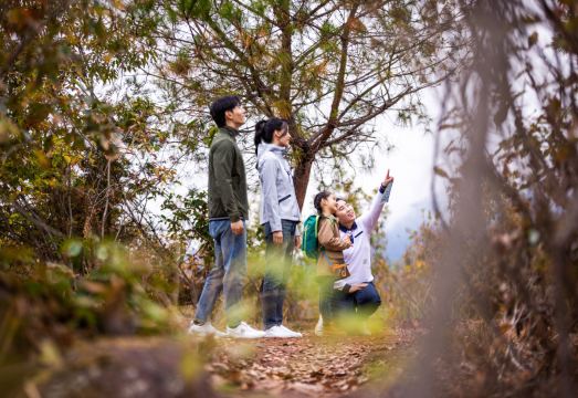 클럽 메드 디중하이린징 객실