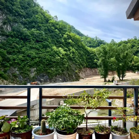 Shanshe Xiaoyuan Homestay