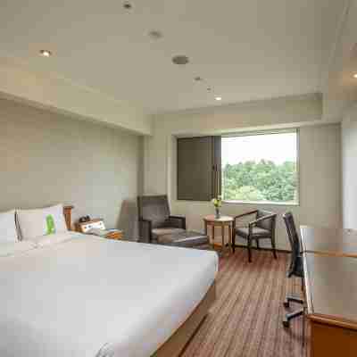 インターナショナルガーデンホテル成田 Rooms