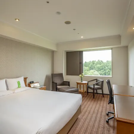 International Garden Hotel Narita