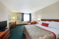 Ramada by Wyndham Hawthorne LAX / LA Stadium Hotels in Gardena