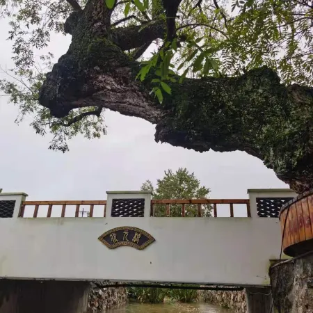 Nanling Yili Village Baiguo Shuzhuangyuan Homestay