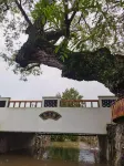 Nanling Yili Village Baiguo Shuzhuangyuan Homestay - วิวภูเขา