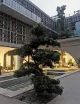 Xinqijianjie Homestay - Pools