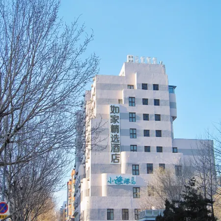 Homeinn Plus Hotel (Shenyang Qingnian Avenue Subway Station)