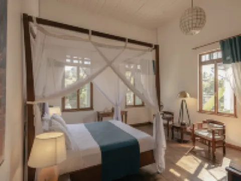 帕尼亞雷西登斯