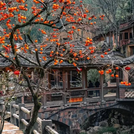 Tanchao Homestay (Longtan Ancient Town Store