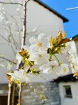 巴黎南部別墅民宿/短租 | 92省近地鐵/交通便利 | 獨享庭院燒烤 住宿飯店