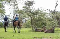 Lake Naivasha Sopa Resort Hotels near Lakes NAIVASHA - Crescent Island