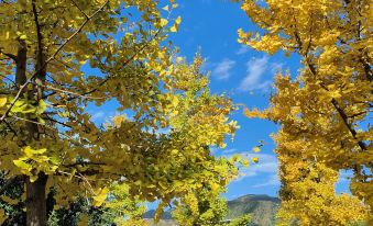 Mianning Dousiang Farm