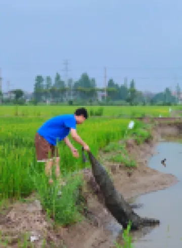 Floral Lux Hotel·Simple and Rustic hotel