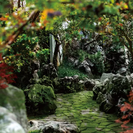 Dongshan Yunshenchu Luxury Wilderness Hotel