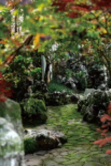 Dongshan Yunshenchu Luxury Wilderness Hotel
