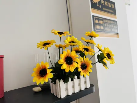 Qixili Cinema Apartment (Southwestern University of Finance and Economics) Отели рядом с достопримечательностью «Chengdu Normal University»