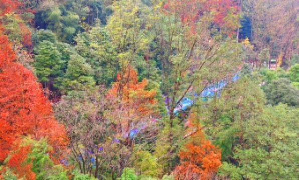 First Forest Hot Spring Hotel FLOWER BAY