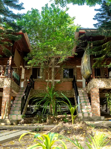 รูปภาพของป่าเซน