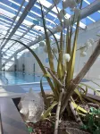 Hilton Geneva Hotel and Conference Centre - Pool