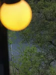 Xinglong Lizike Lake Homestay