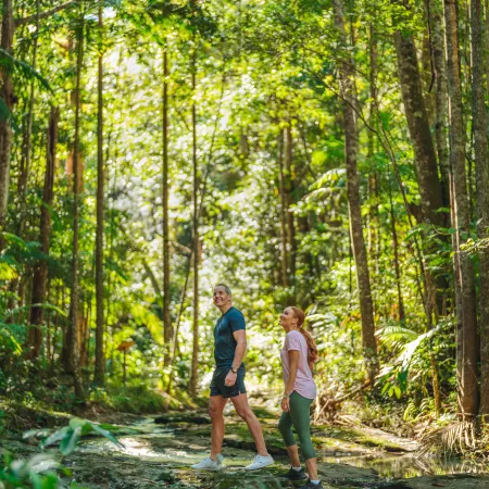 Narrows Escape Rainforest Retreat
