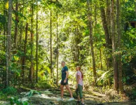 Narrows Escape Rainforest Retreat - Romantic