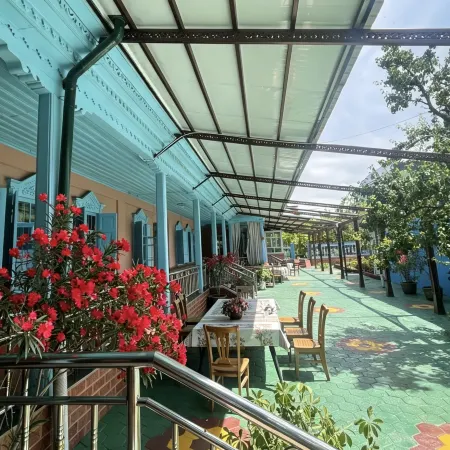 Yining Ancient Tree Courtyard Homestay