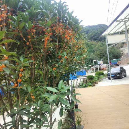 Yao Congshan Leisure Homestay