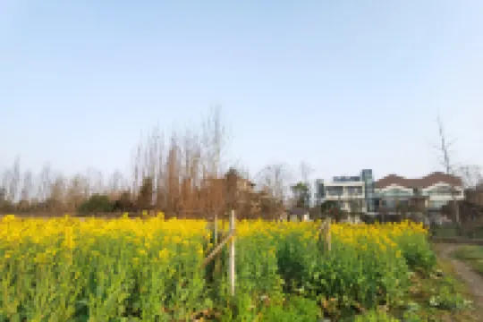 Yinyi Tianju Yueshui Homestay (Qingchengshan Branch)