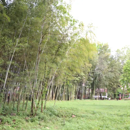 Nanfang Ying Hotel