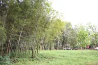 Nanfang Ying Hotel - pemandangan pegunungan