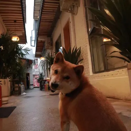 Luoyang Yixiaoyuan Boutique Homestay (Lijingmen Cross Street Branch)