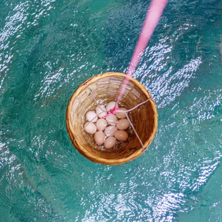 Meizhou Wuhua Hot Mineral Mud Hot Spring Resort